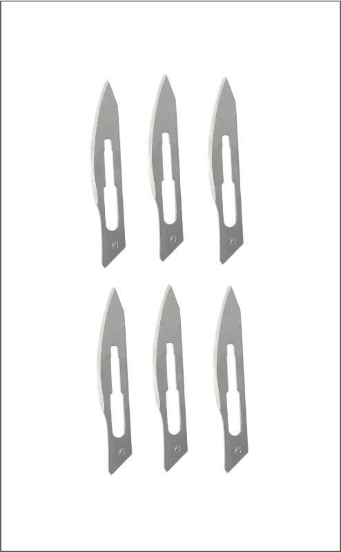 Surgical Blades x 6, \"Scalpel Blades\"